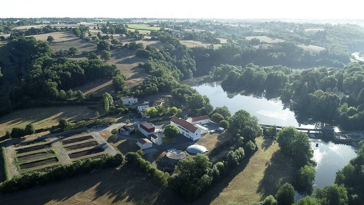 Paysage du territoire de Mauges communauté