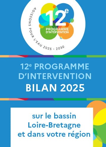 Visuel du bilan 2025 du 12e programme d'intervention sur le bassin Loire-Bretagne et dans votre région