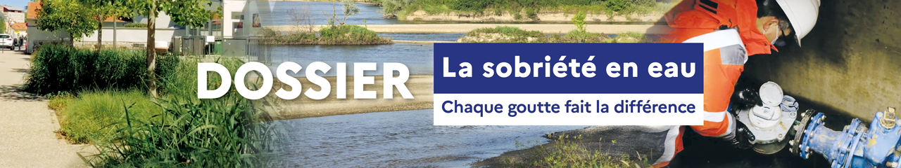 La sobriété en eau : chaque goutte fait la différence
