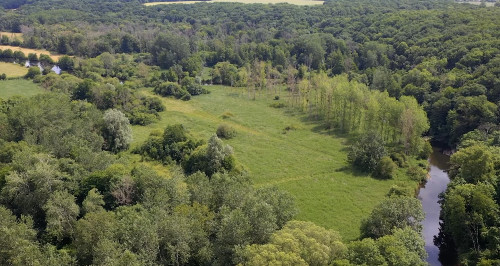 photo de l'île de la Guimande, une des plus grandes roselières connues à ce jour