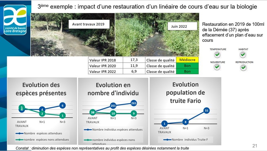 Impact d'une restauration d'un linéaire de cours d'eau sur la biologie