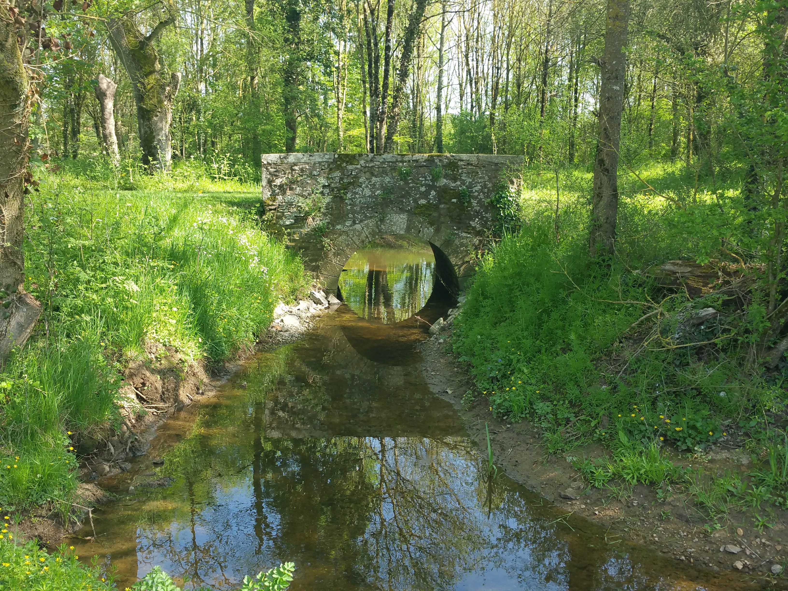 Restauration de l'Issoire au domaine de la Chabotterie à Montréverd (85) : après travaux