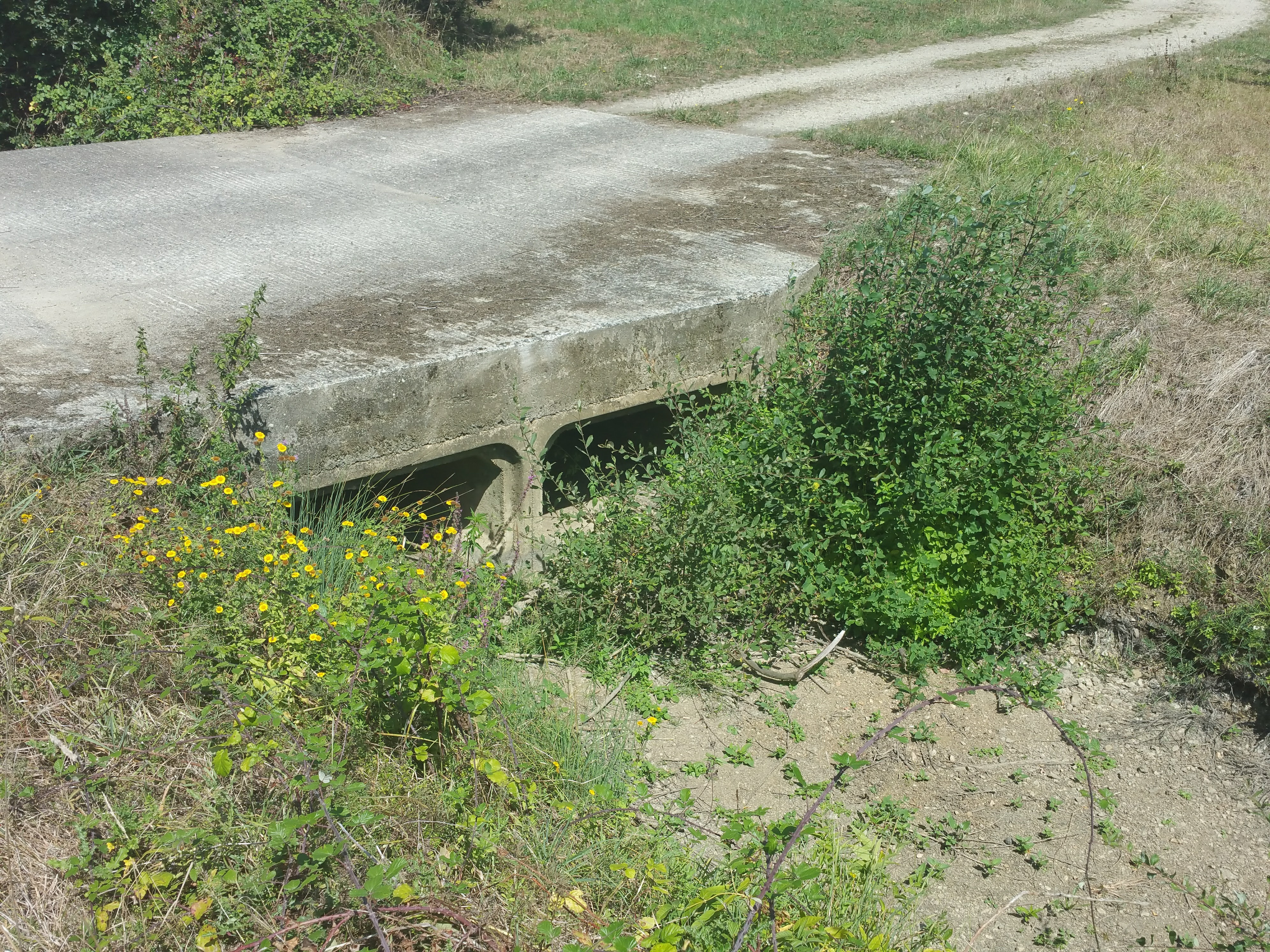 Restauration de l'Issoire au domaine de la Chabotterie à Montréverd (85) : avant travaux