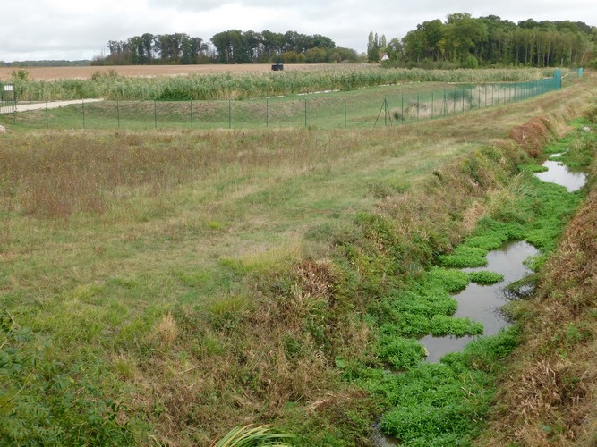 La station à proximité de la Brenne dans laquelle les eaux traitées sont rejetées à Saint-Amand-Longpré (41)