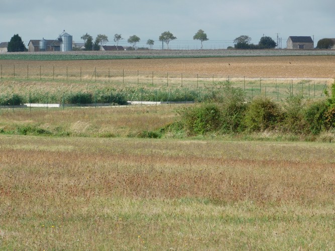 Station d’épuration par filtres plantés de roseaux avec traitement du phosphore à Saint-Amand-Longpré (41)