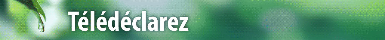 Télédéclarez les redevances – Déclarez en ligne - Zéro papier - Accédez au portail des téléservices des agences de l'eau