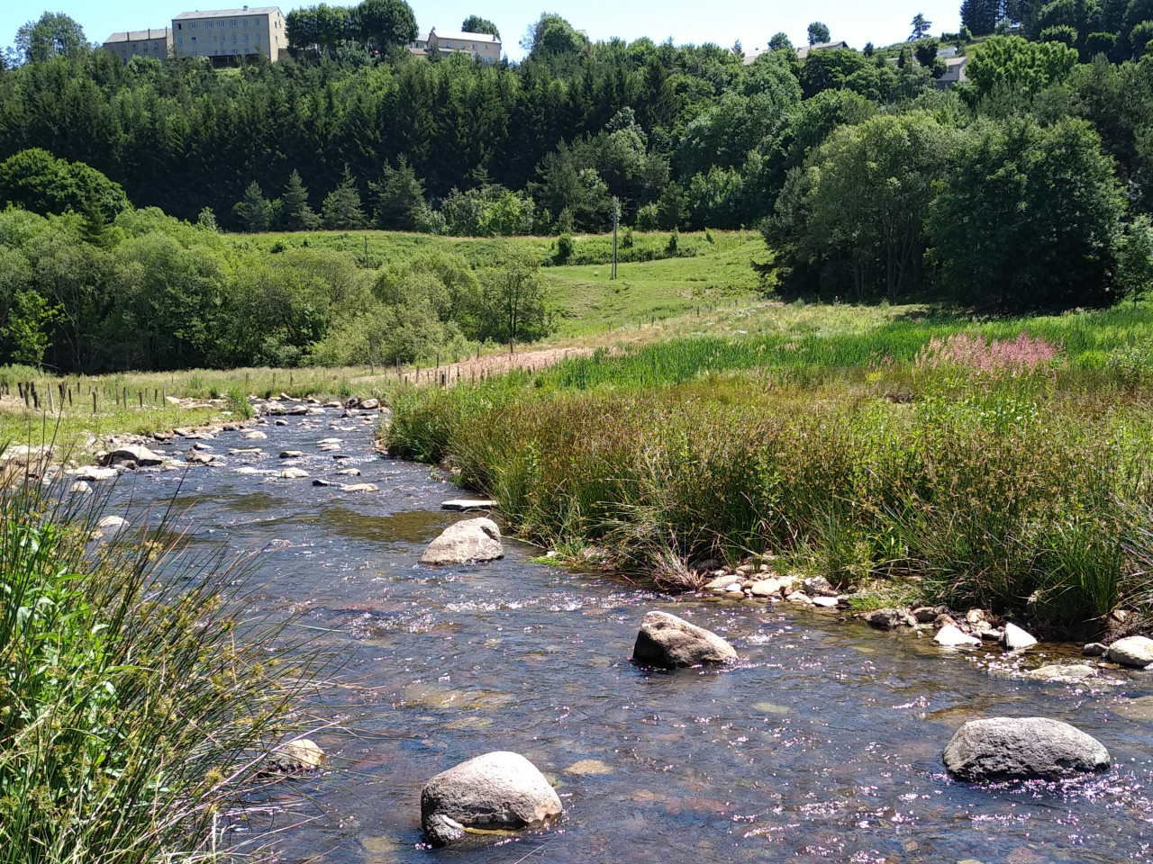 L’effacement d’un plan d’eau permet au Lignon du Velay de retrouver son lit naturel - « Le Lignon retrouvé » post travaux de génie végétal après une année de végétation (vue Nord Est en direction de Fay-sur-Lignon)