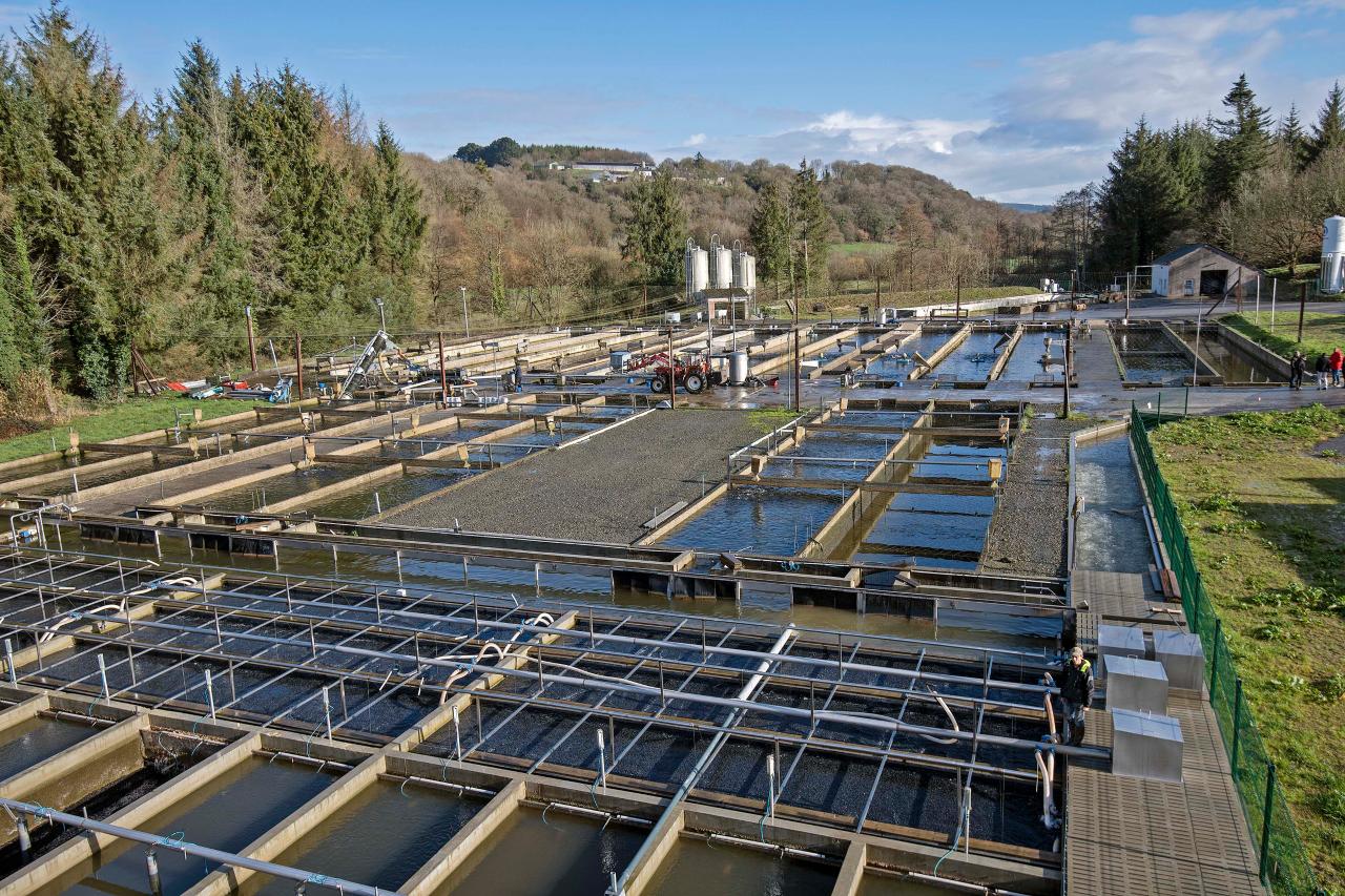 Mise en circuit fermé de la pisciculture du moulin neuf sur la Douffine