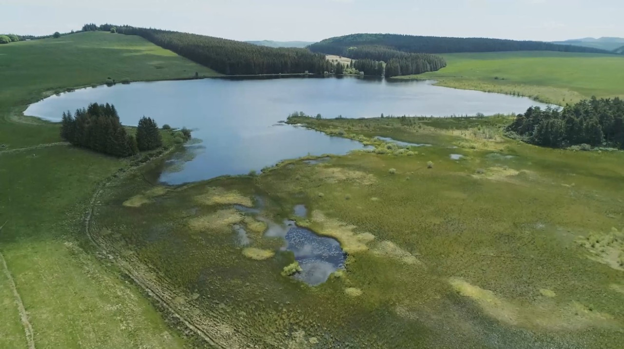 Lac de Bourdouze - Puy-de-Dôme (63)