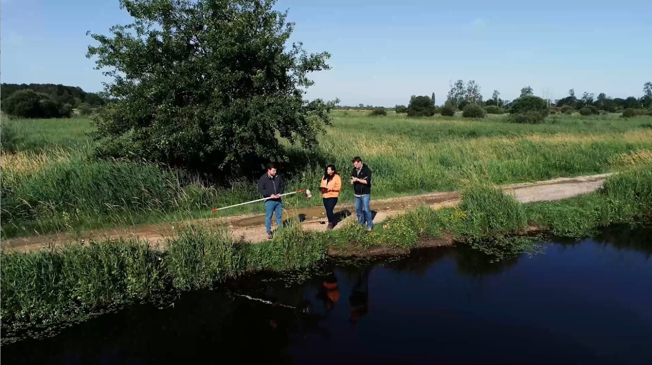 Marais de la Brière (44)