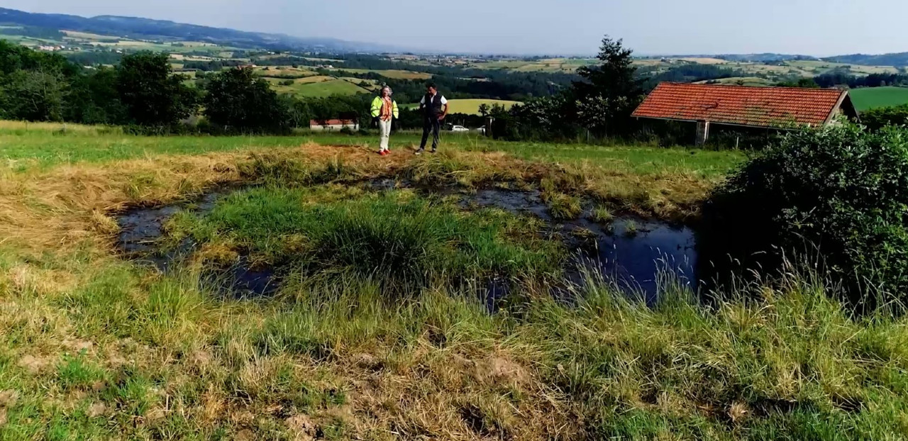 Faute d'entretien de nombreux points d'eau se sont végétalisés et asséchés - Françoise Morel et Sylvain Vigant