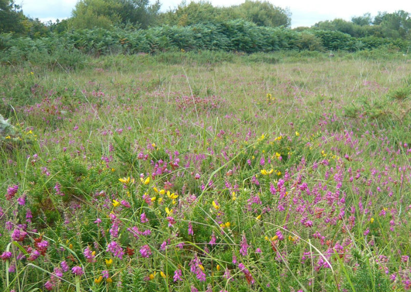 Photo d'illustration