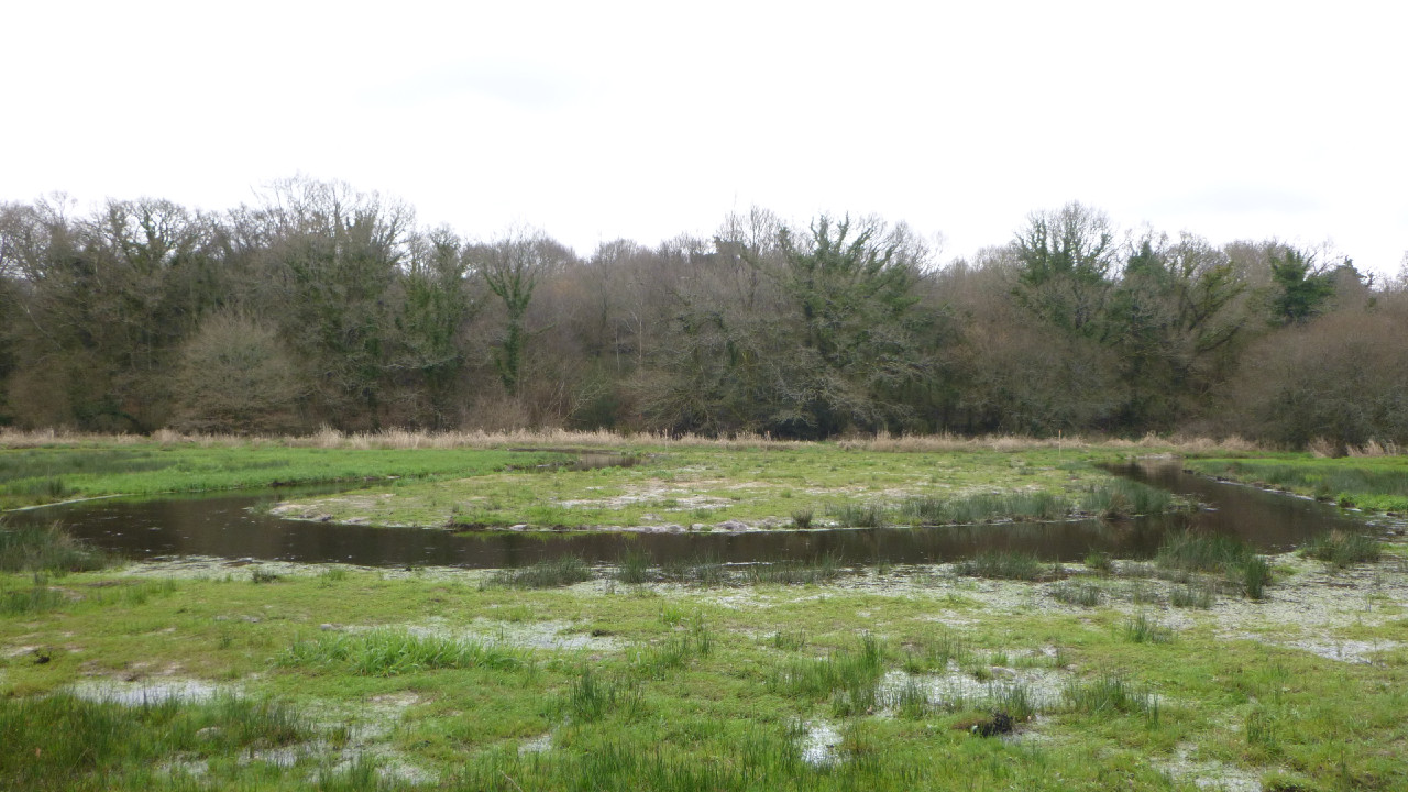 Rivière Ellé, après crue hivernale