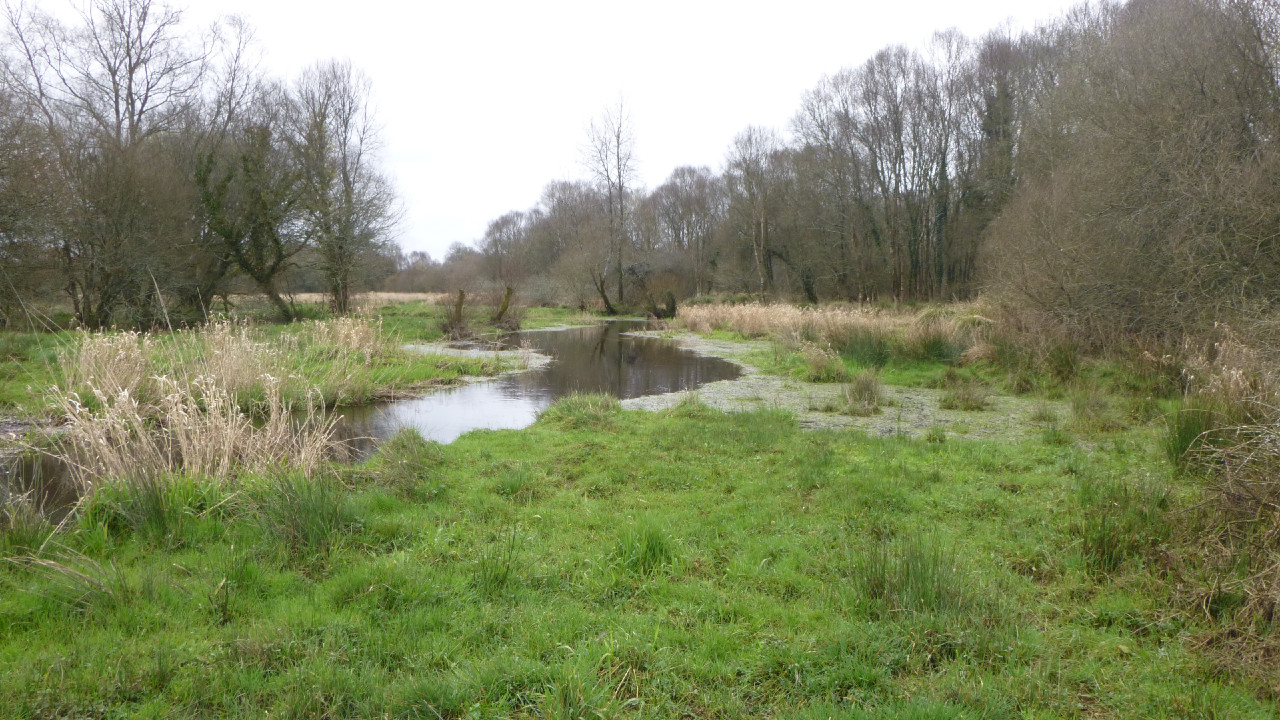 Rivière Ellé, après crue hivernale (même prise de photo que celle du 17/03/2018)