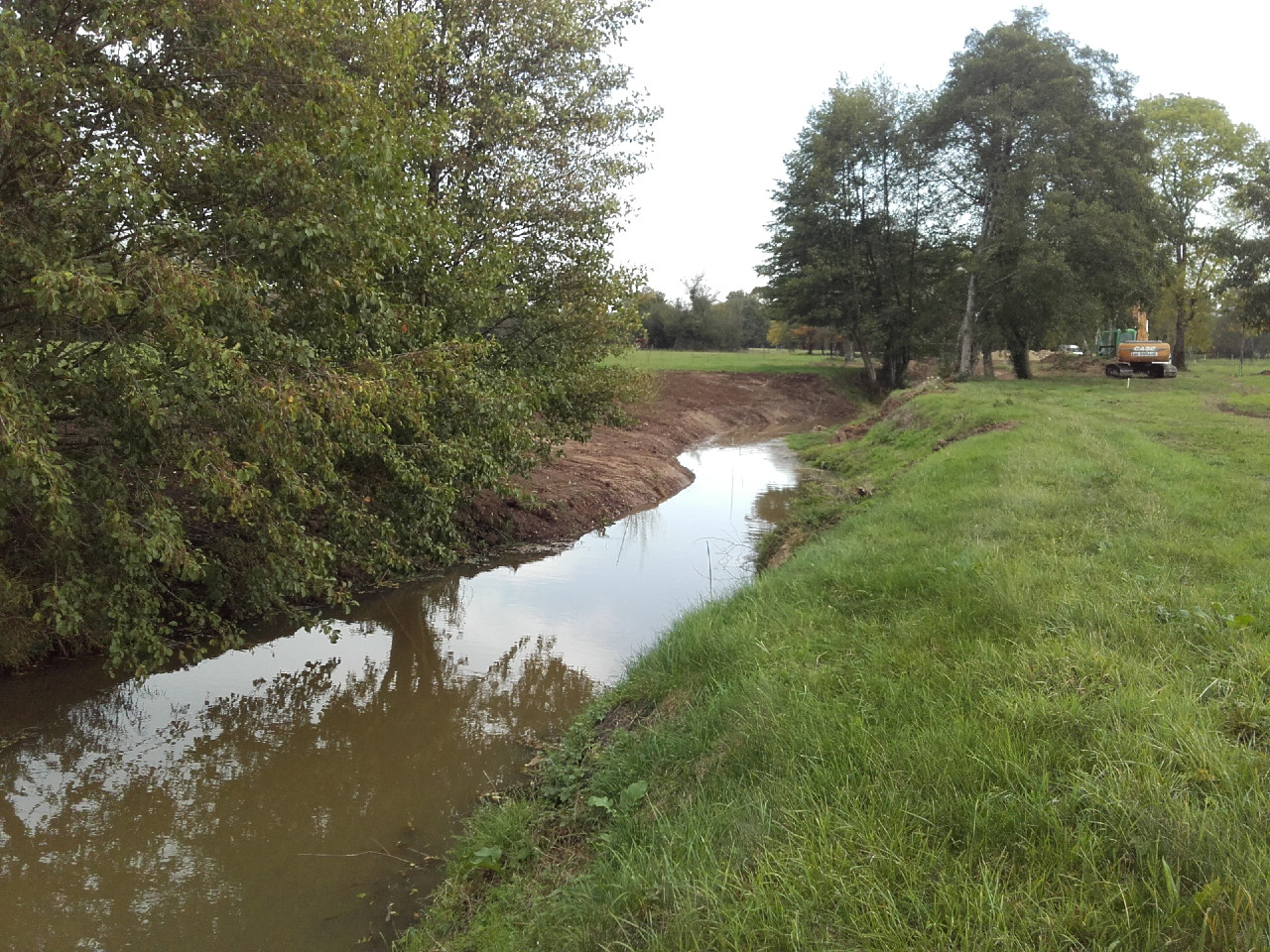 Prairie avant travaux
