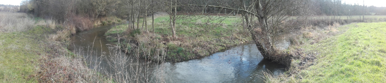Méandre restauré sur le Lathan