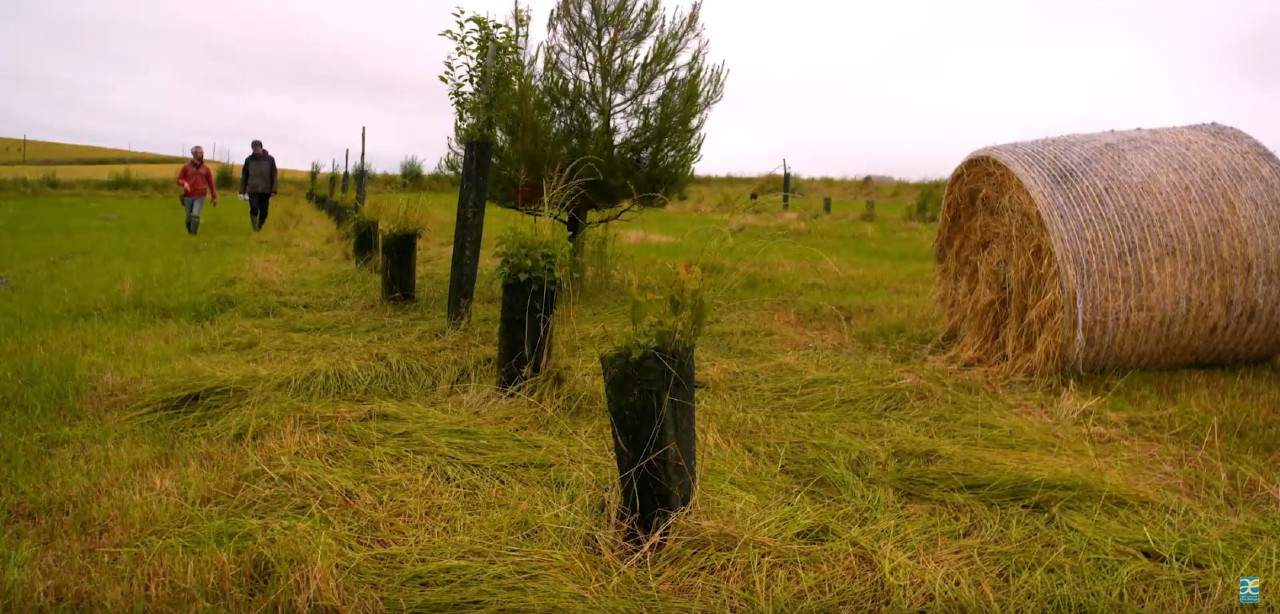 Restaurer le bocage pour améliorer la qualité de l’eau : Olivier Renault, agriculteur à Louvigné-de-Bais et Etienne Gouësset, technicien bocage au SMBV Seiche
