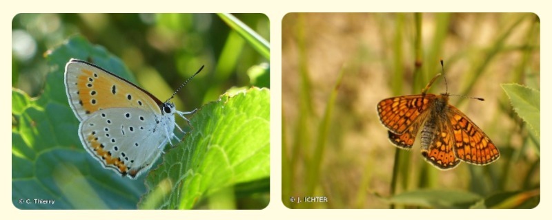 Photo d'illustration