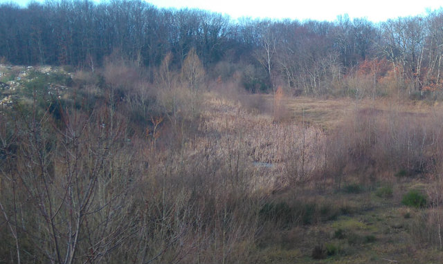 Photo d'illustration