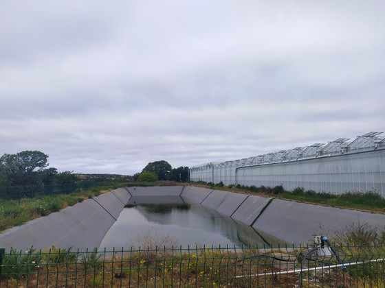 Photo de la récupération des eaux de pluie en production de tomate sous serre