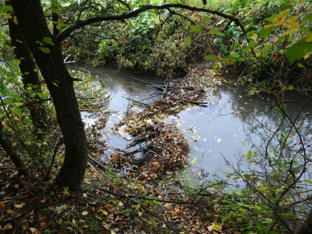 Photo d'illustration