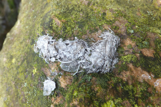 Photo d'illustration