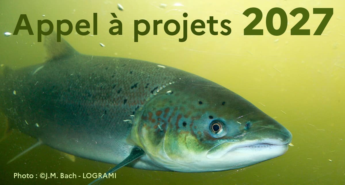Visuel de l'appel à projets 2027 montrant un saumon