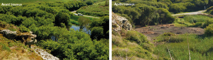 photos des travaux sur le marais de Ster Vraz : avant et après