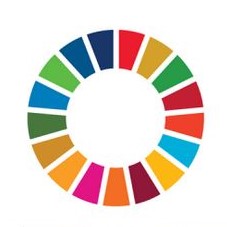 Visuel des objectifs de développement durable