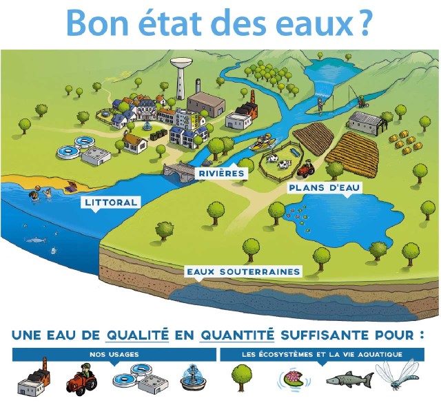 Bon état des eaux : une eau en quantité et en qualité suffisante pour nos usages, les écosystèmes et la vie  aquatique